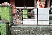 Small temple at Bhagsu - Mcleod Ganj